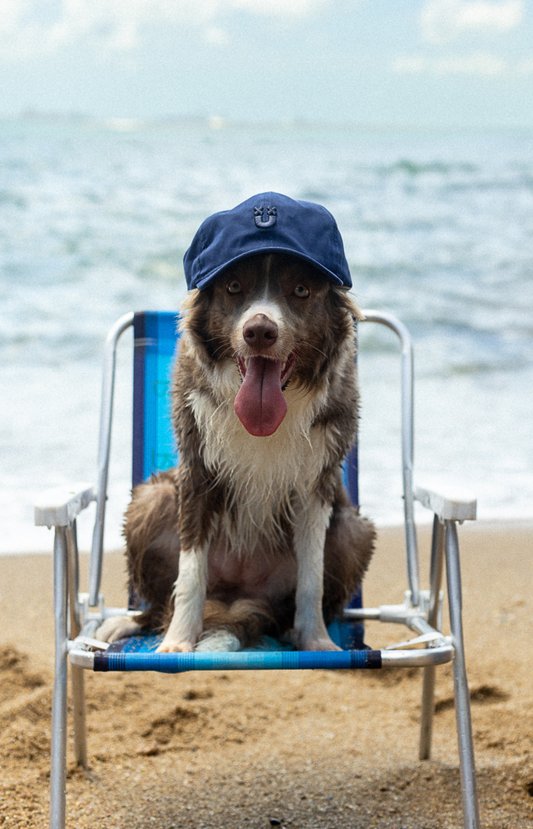 CLUB SUMMER CAP